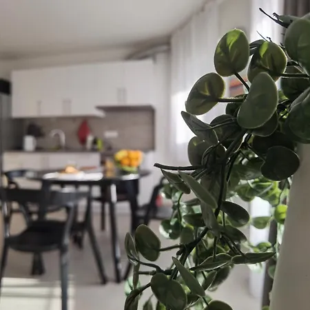 Apartment Aki Podstrana
